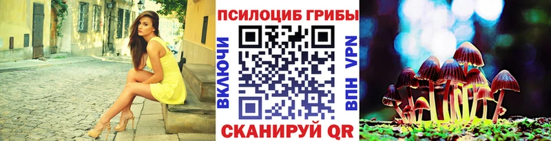 Галлюциногенные грибы мицелий  Купить закладки  Добрянка 